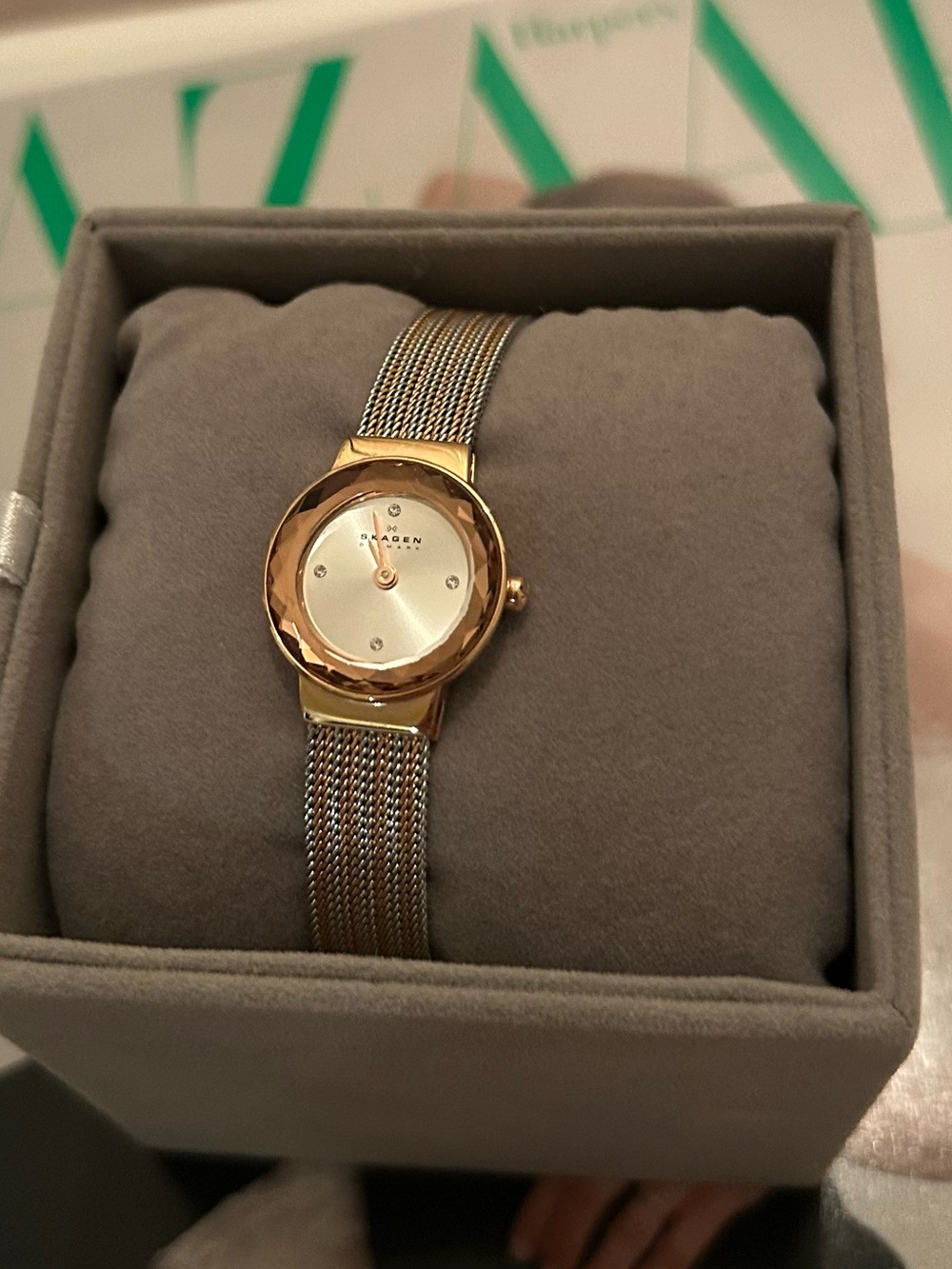 Skagen Two-Tone Gold and Silver Mesh Women's Watch